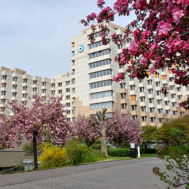Eingangsbereich des BFW im Frühling.